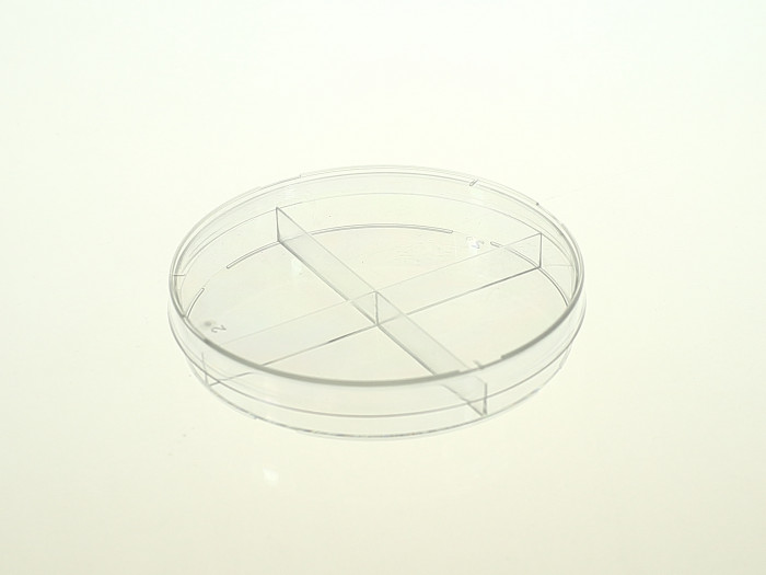 700x525 Petri Dish - Petri Dish Sketch