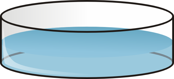 600x275 Petri Dish Clip Art - Petri Dish Sketch