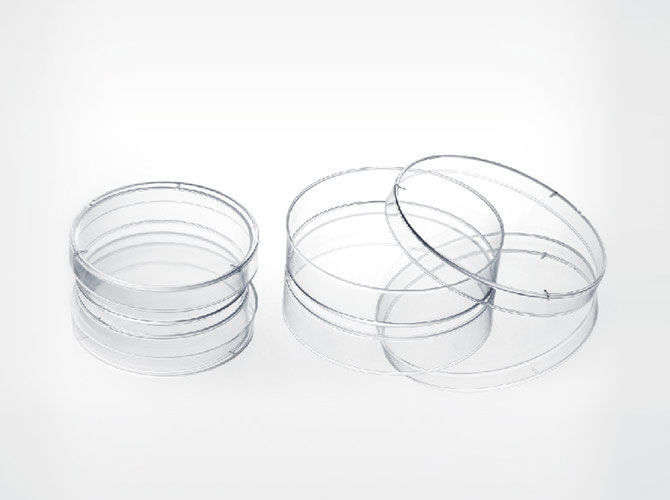 670x500 Petri Dish - Petri Dish Sketch