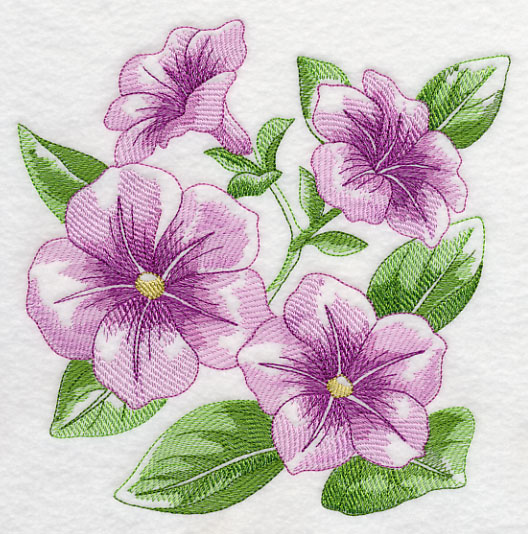 528x534 Machine Embroidery Designs - Petunia Sketch
