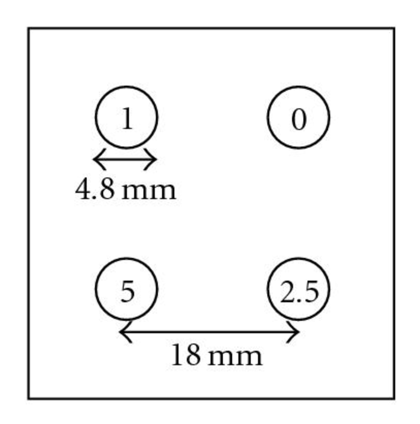 850x858 A) Sketch Of The Phantom (Not To Scale). The Numbers 0, 1, 2.5, 5 - Phantom Sketch