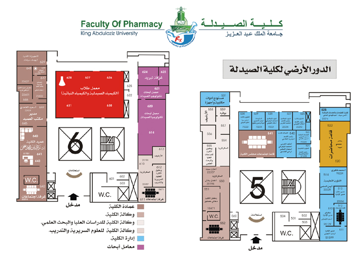 730x516 Faculty Of Pharmacy - Pharmacy Sketch