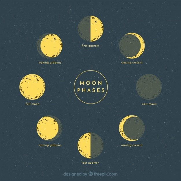 626x626 Moon Phases Vectors, Photos And Psd Files Free Download - Phases Of The Moon Sketch