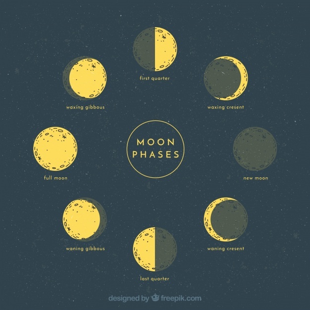 Phases Of The Moon Sketch at PaintingValley.com | Explore collection of ...