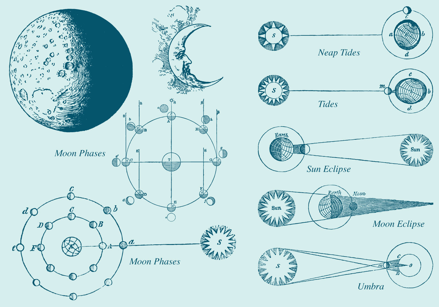 1400x980 Old Style Drawing Moon Phase Vectors - Phases Of The Moon Sketch