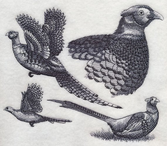 570x496 Pheasant Sketch Machine Embroidery Quilt Blocks Azeb Etsy - Pheasant Sketch