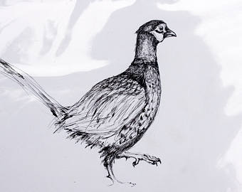 340x270 Pheasant Drawing Etsy - Pheasant Sketch