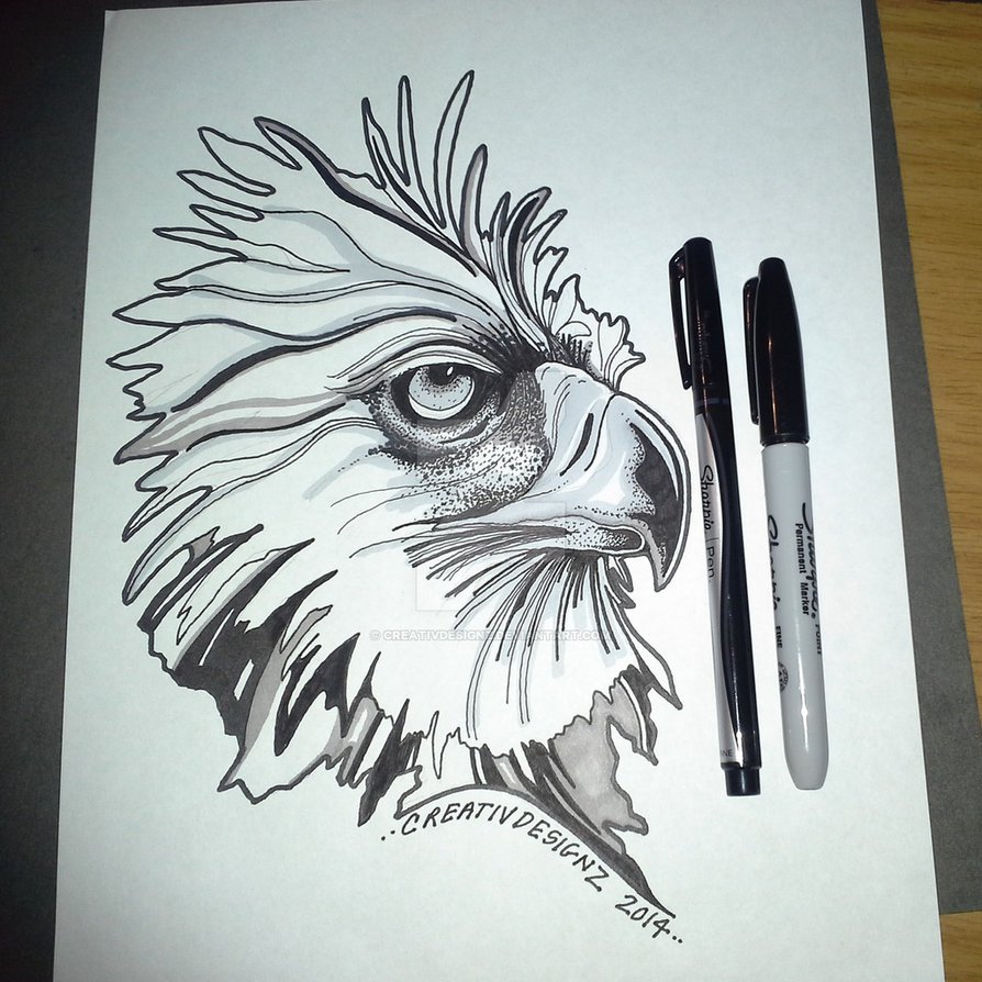 894x894 Philippine Eagle Ink Drawing By Creativdesignz - Philippine Eagle Sketch