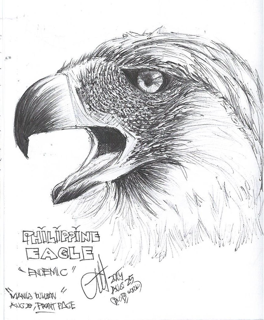 858x1039 Philippine Eagle Killed And Rethinking The Zoo - Philippine Eagle Sketch