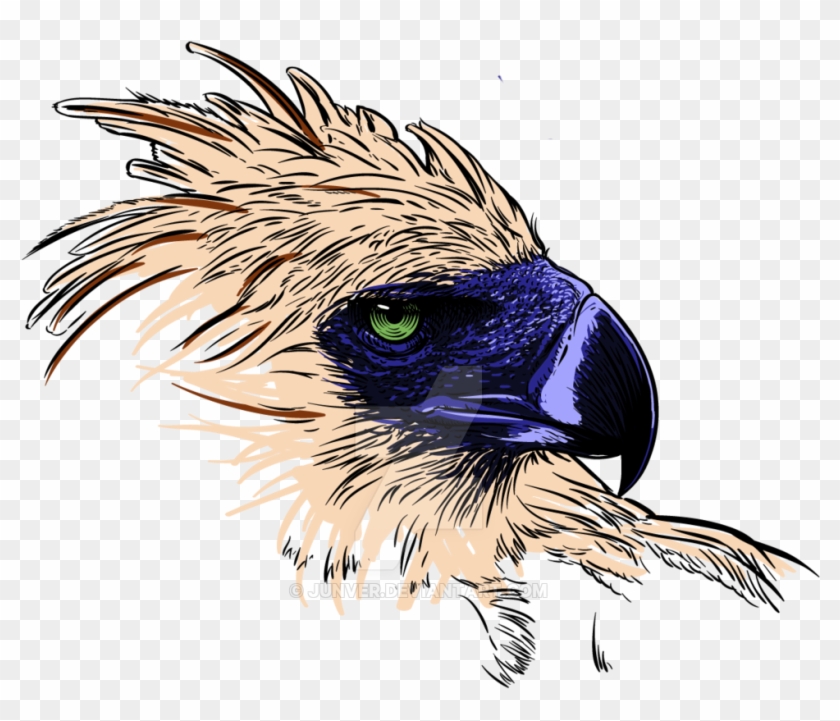840x721 Phillipine Eagle Clipart Philippine Eagle Drawing - Philippine Eagle Sketch