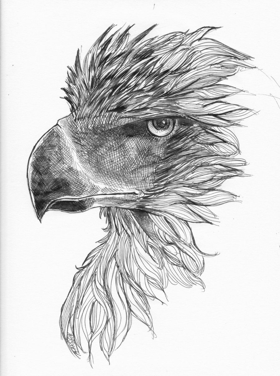 Орёл арт карандашом