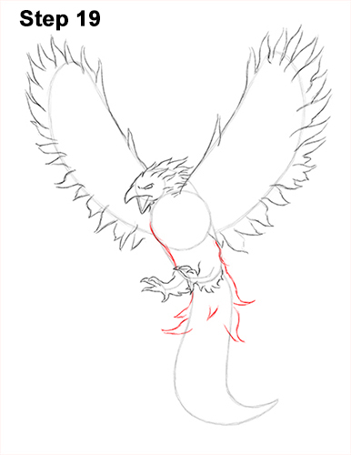 386x500 How To Draw A Phoenix - Phoenix Bird Sketch