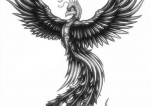 300x210 Phoenix Bird Drawings In Pencil Phoenix Bird Drawing At - Phoenix Bird Sketch