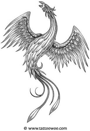 307x445 Phoenix Tattoos 75 Cool Designs - Phoenix Bird Sketch