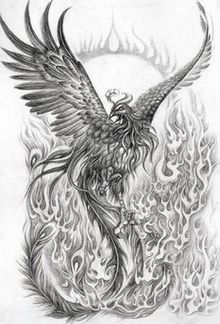 220x324 Realistic Phoenix Bird Drawings - Phoenix Bird Sketch