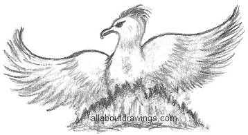 358x196 Drawings Of The Phoenix Bird - Phoenix Bird Sketch