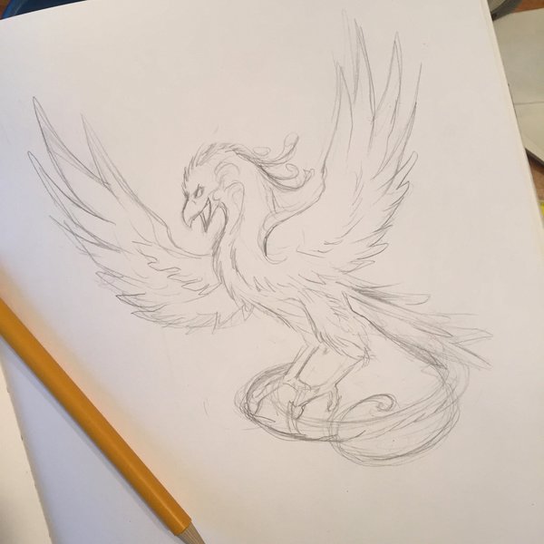 600x600 196 Phoenix Sketch By Lucky978 - Phoenix Sketch