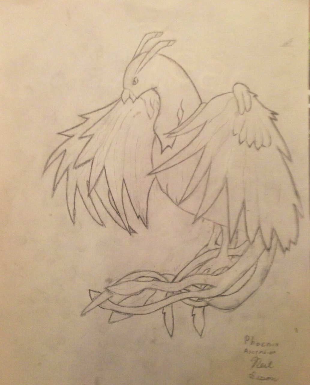 1033x1280 Phoenix Sketch By Ninja.of.feathers - Phoenix Sketch