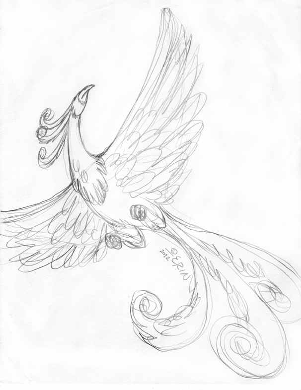 606x786 Phoenix Sketch By Tigerqueen - Phoenix Sketch