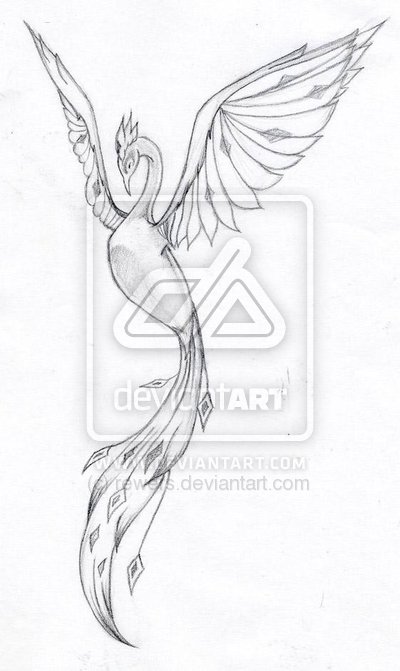 400x671 Sketch Of Phoenix Tattoo - Phoenix Sketch