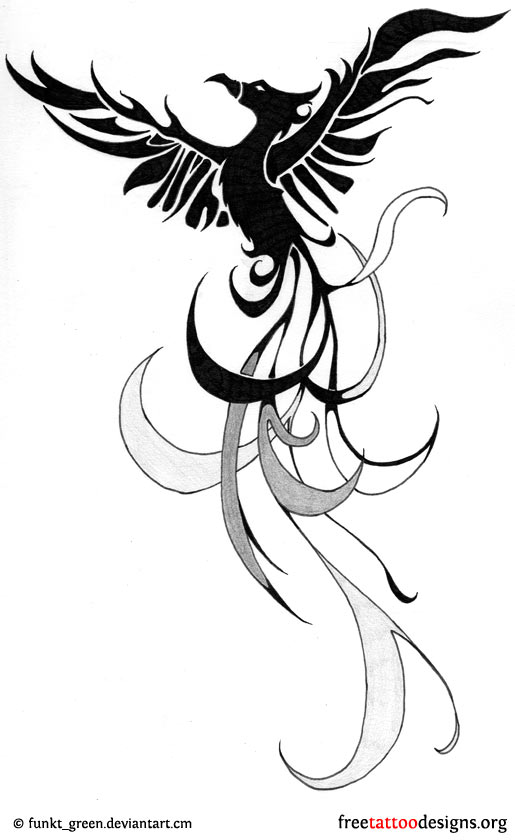 515x840 Phoenix Tattoos 75 Cool Designs - Phoenix Tattoo Sketch