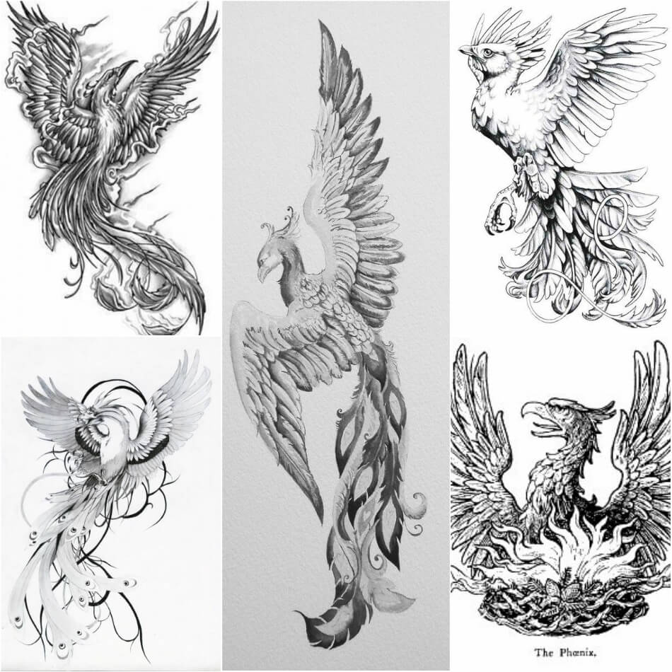 950x950 Phoenix Tattoos Meaning - Phoenix Tattoo Sketch