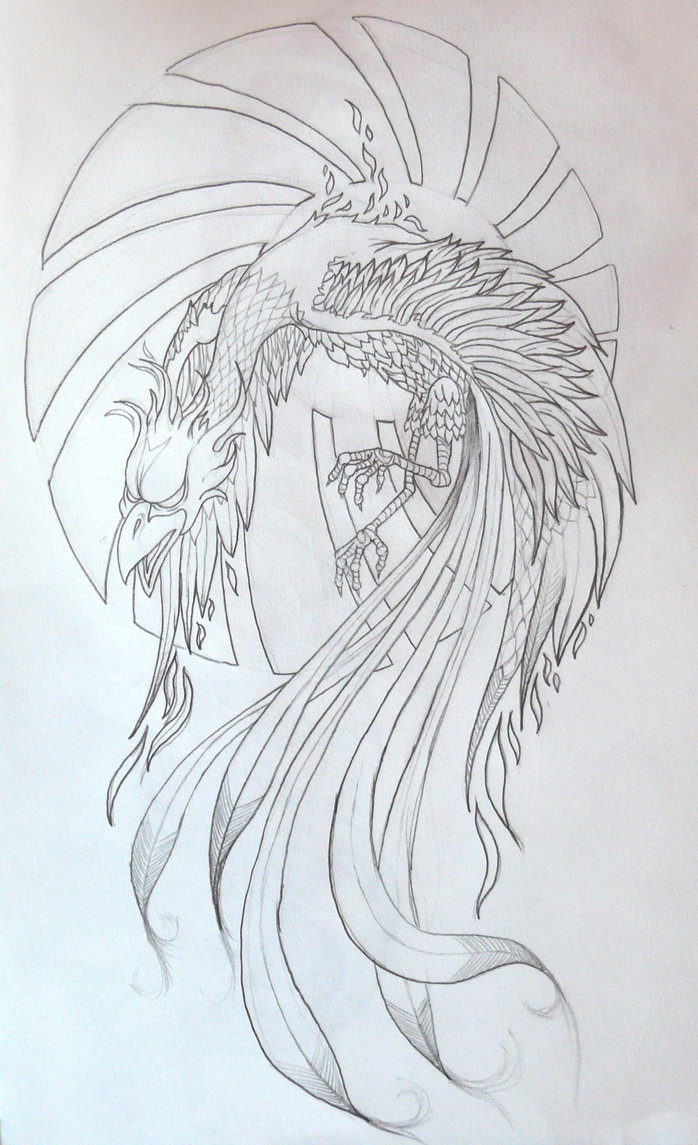 698x1145 Sketch Of Phoenix Tattoo Design - Phoenix Tattoo Sketch