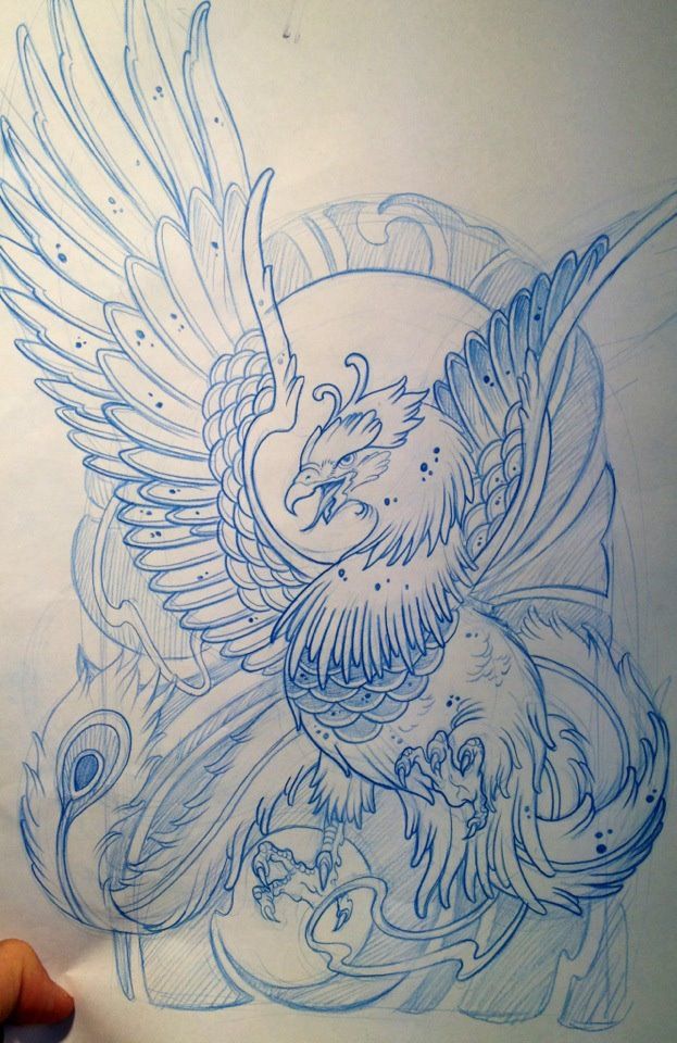 623x960 Tattoo Inspiration Photo Dibujo Tattoos, Tattoo - Phoenix Tattoo Sketch