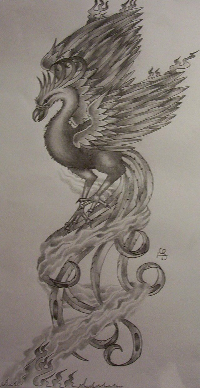 641x1244 Phoenix Tattoo Design By Tattoosuzette - Phoenix Tattoo Sketch