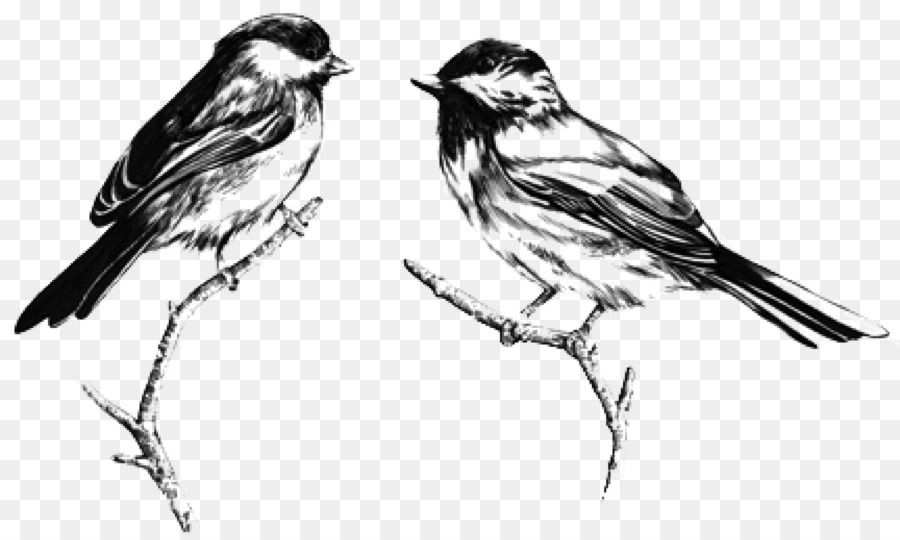 900x540 Rocksteady House Sparrow Youtube Phonograph Record Sketch - Phonograph Sketch