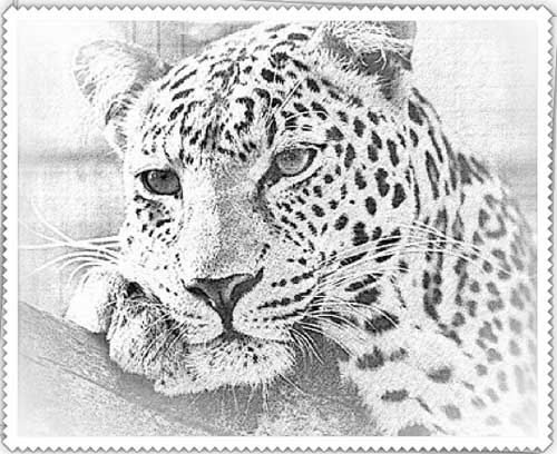 500x408 Online Pencil Sketch Drawing - Photo Into Sketch Free