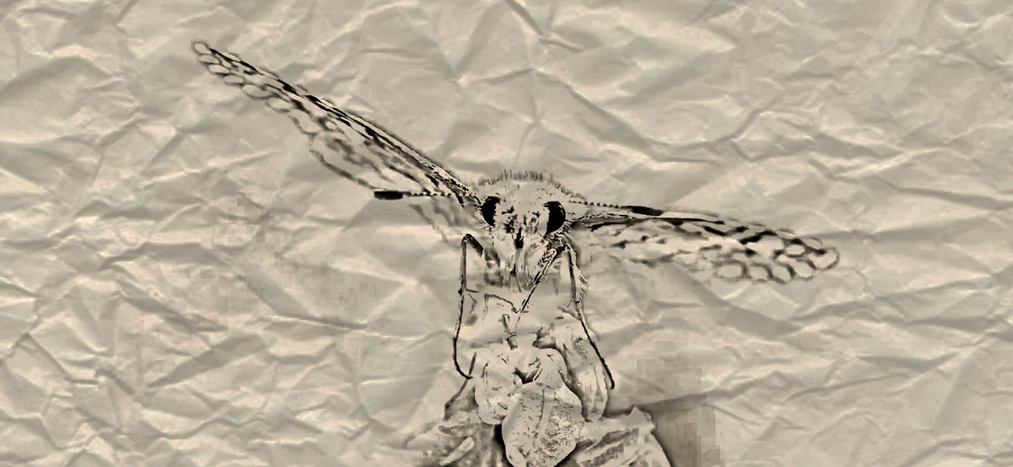 1456x672 Pencil Sketch Effect - Photo Sketch Effect