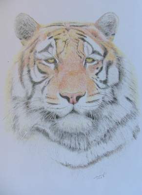 291x400 Online Contest - Photo To Pencil Sketch Online