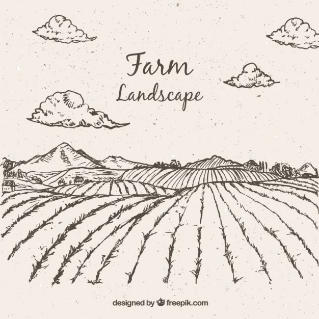 626x626 Sketches Farming Landscape Vector Free Download - Photo To Sketch Free