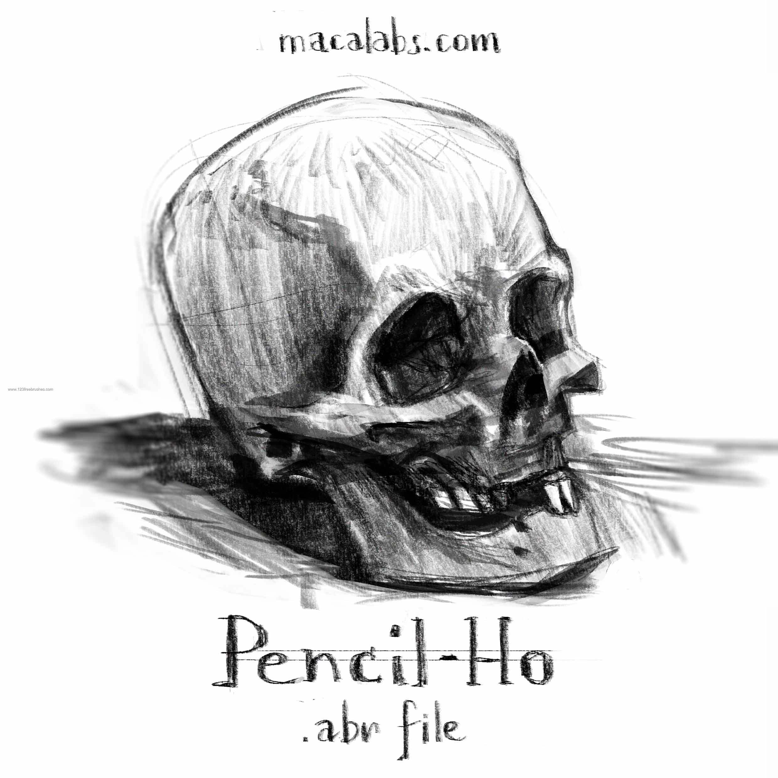 2480x2480 Pencil Drawing Skull Free Brush Photoshop Download 123freebrushes - Photoshop Pencil Sketch Brush