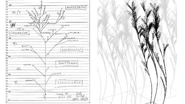 600x337 3 D Seagrass Model Shines Leaf Level Light On Photosynthesis - Photosynthesis Sketch