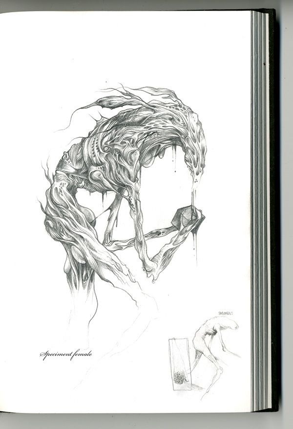 600x878 Unshaded Illustration On Behance Illustrations - Photosynthesis Sketch