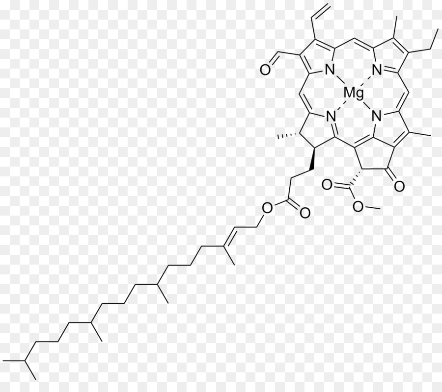 900x800 Chlorophyll A Chlorophyll B Photosynthetic Pigment Photosynthesis - Photosynthesis Sketch