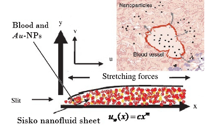 753x451 Physical Sketch. Download Scientific Diagram - Physical Sketch
