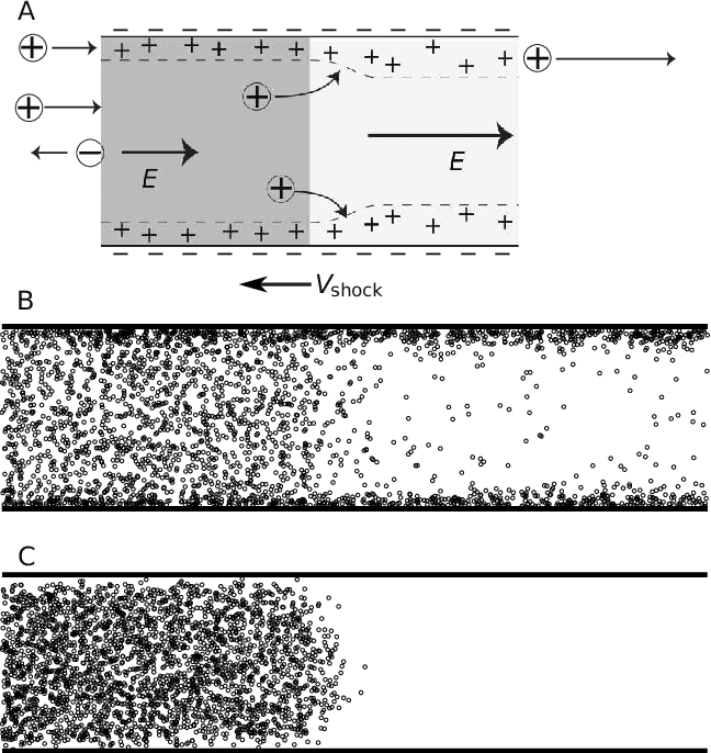 648x686 Basic Physics Of Desalination Shock Propagation. (A) Sketch Of Ion - Physics Sketch