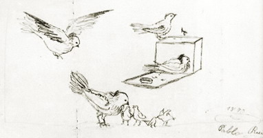 382x200 Pablo Picasso Early Works - Picasso Bird Sketch