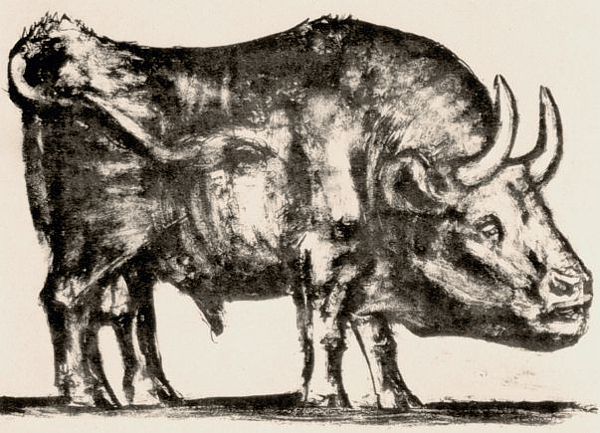 600x433 Animals In Art - Picasso Bull Sketch