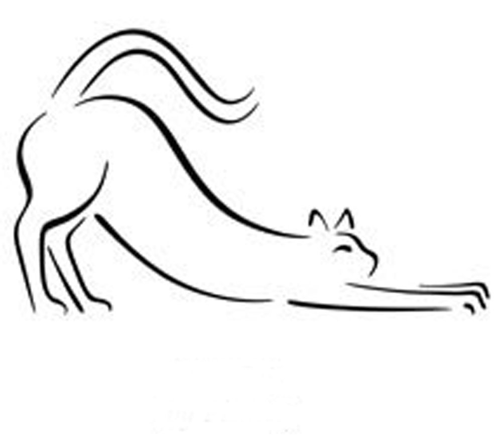 1000x892 Pablo Picasso, The Cat Creative Inspiration - Picasso Cat Sketch