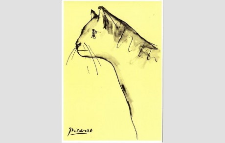 460x293 The Cat Sketch By Pablo Picasso Art Postcard 2 Hippostcard - Picasso Cat Sketch