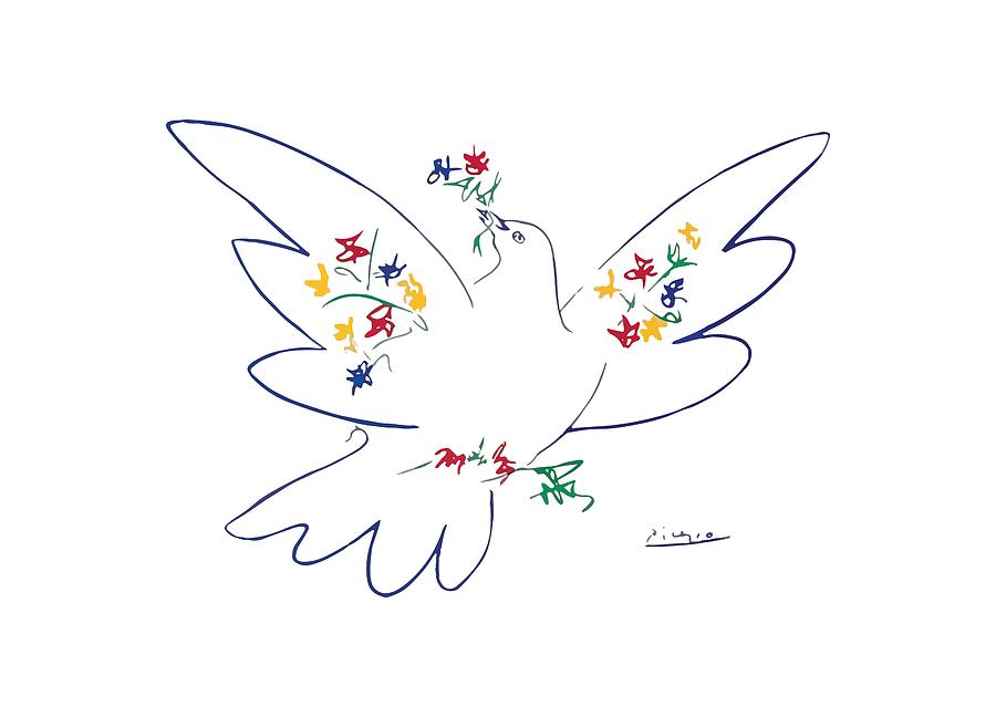 900x648 Dove Of Peace 1949 Artwork T Shirt, Reproduction Sketch Painting - Picasso Dove Sketch
