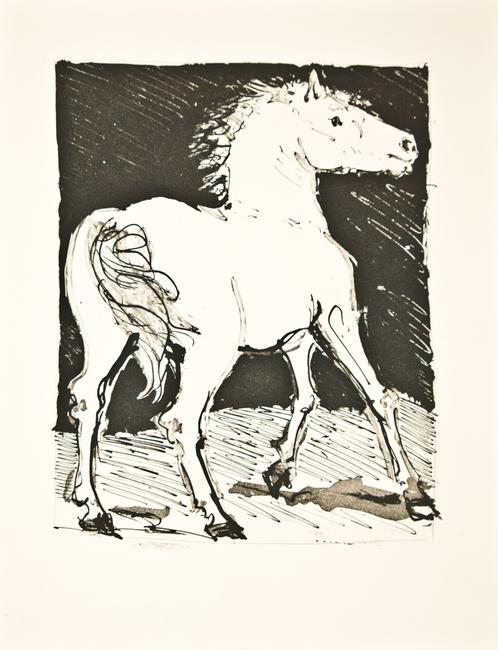 498x650 Pablo Picasso - Picasso Horse Sketch