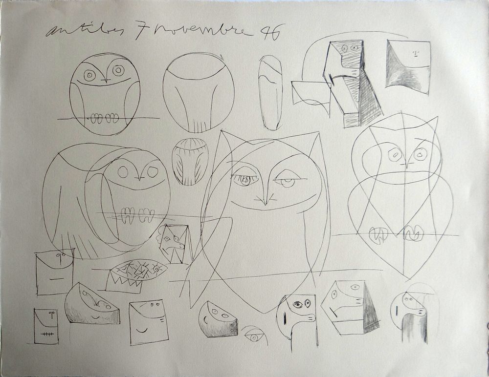 1000x772 Pablo Picasso Owls - Picasso Owl Sketch