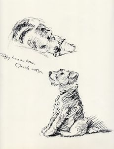 231x300 Wire Fox Terrier A Bone To Pick Cute Dog Lucy Dawson Dog Sketch - Pick Sketch