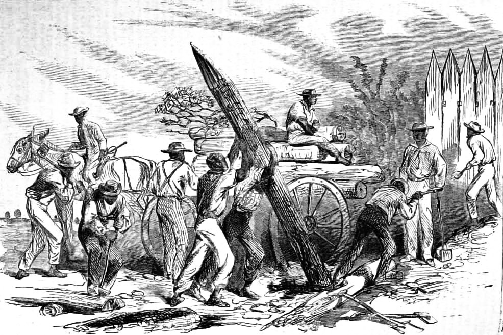 986x657 Putting The Neighbor Back In Hood Ceo Caples Medium - Picket Fence Sketch