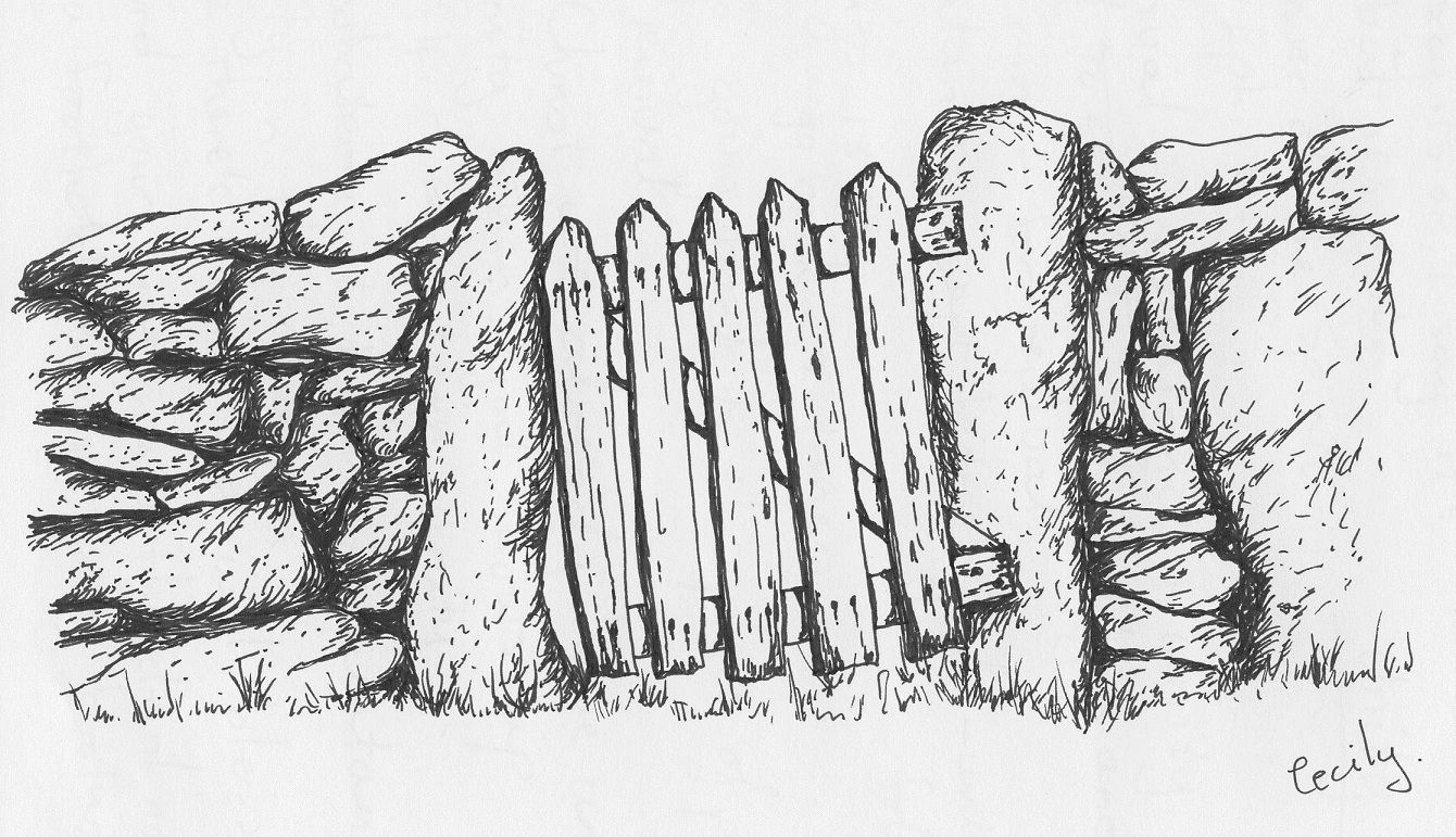 1340x771 Fence Sketch - Picket Fence Sketch